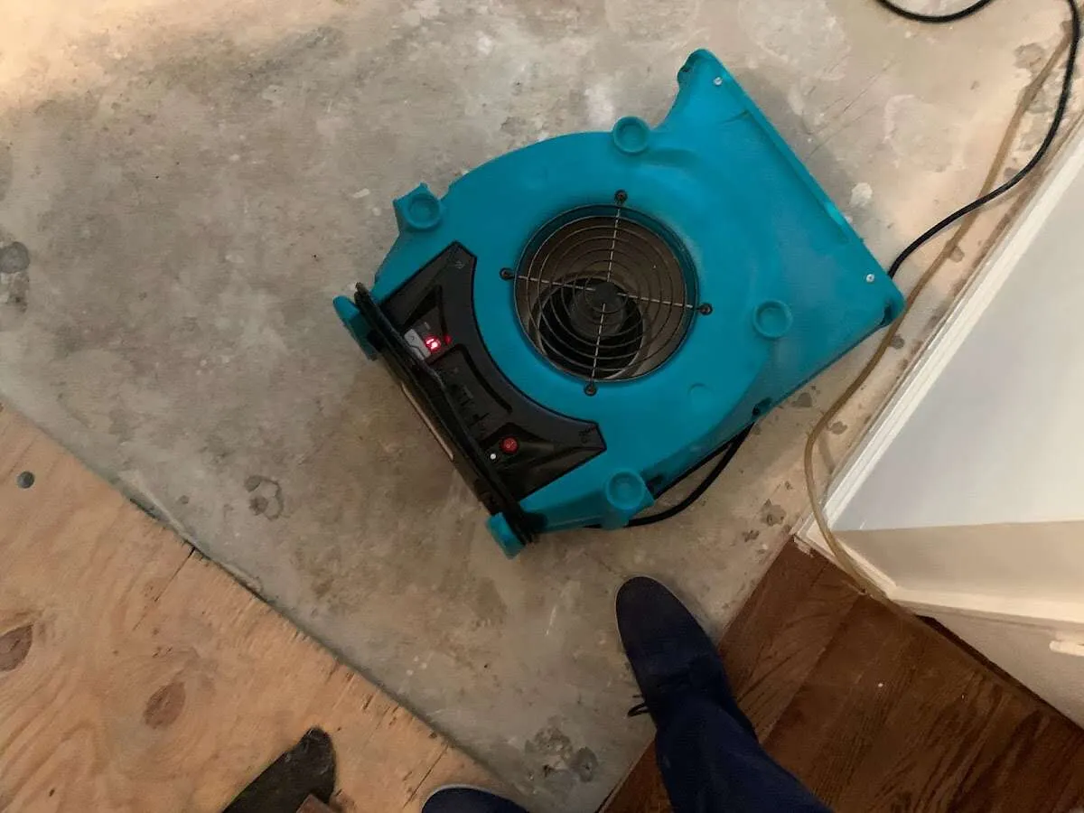 Air mover drying subfloor during Leak Detection & Repair in Oak Lawn
